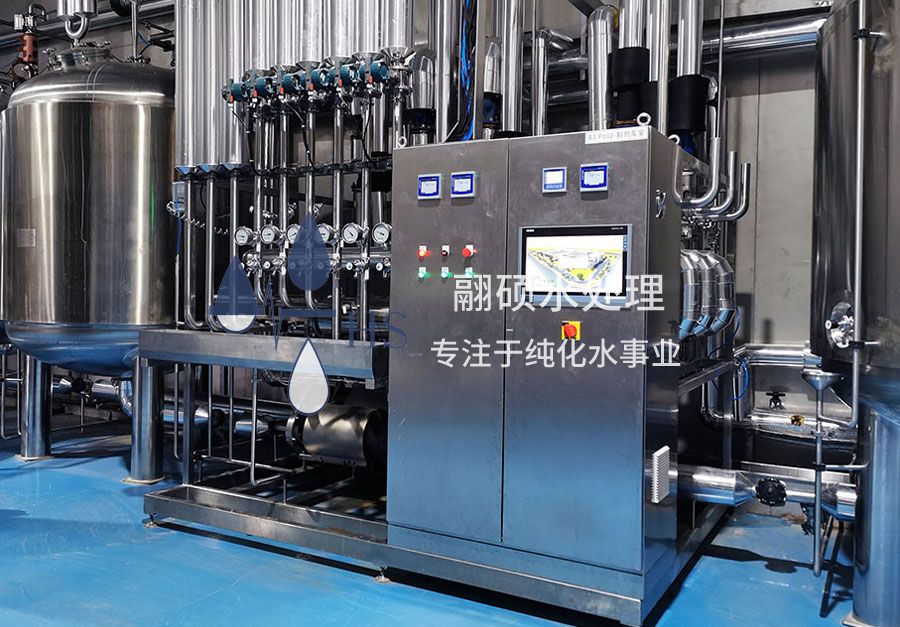 Purified Water Equipment